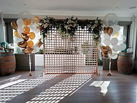 Gallery 206