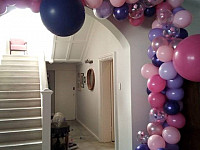 Gallery 224
