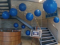 Gallery 225