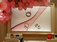 Gallery 237