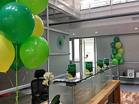 Gallery 243