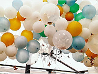 Gallery 255