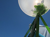 Gallery 262