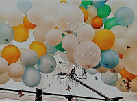 Gallery 263