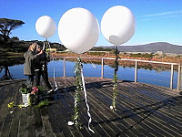 Gallery 269