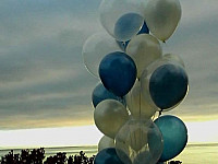 Gallery 270