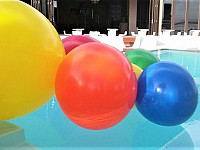 Gallery 276