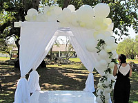 Gallery 279