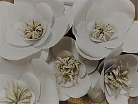 Gallery 283