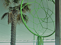 Gallery 329